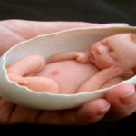 آیا مسأله سقط جنین در آیات قرآن تبیین شده است؟