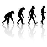 آفرینش انسان: بررسی نظریه داروین
